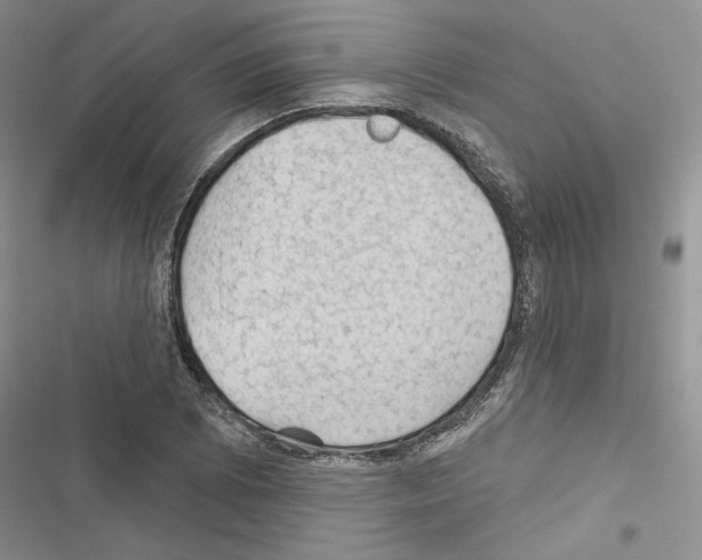 X0000116611073201001221314