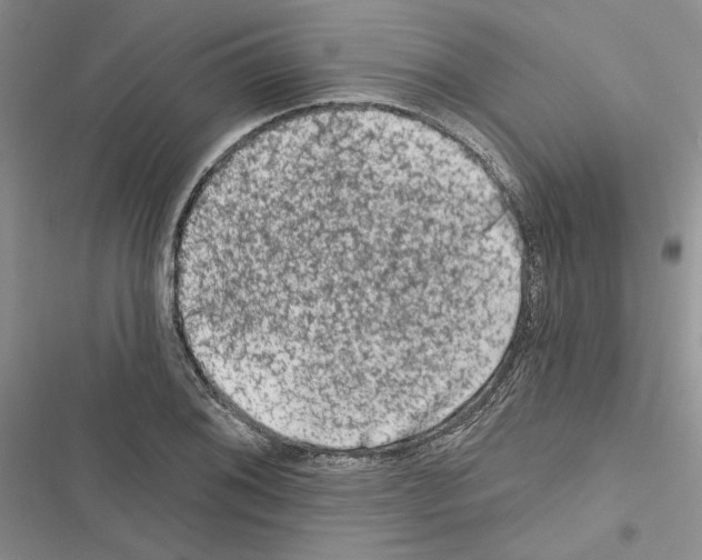 X0000116611076201001221314