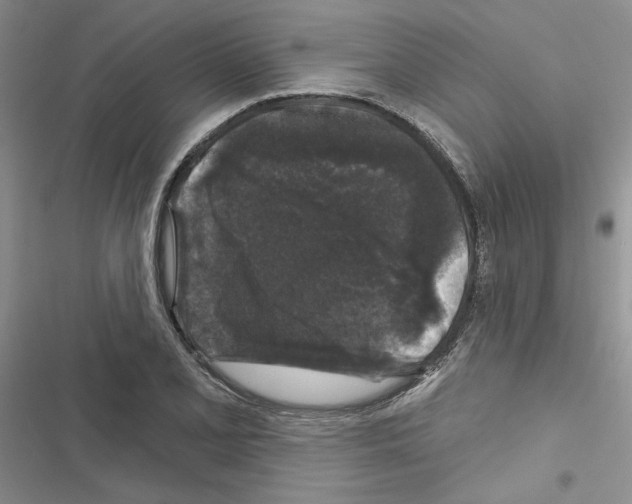 X0000116611077201001221314