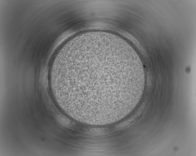 X0000116611078201001221314