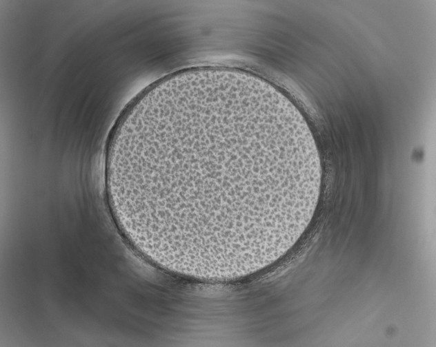 X0000116611079201001221314