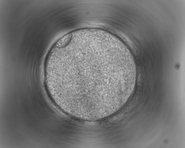 X0000116611080201001221314