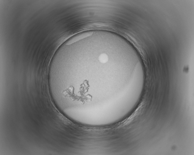 X0000116611081201001221314