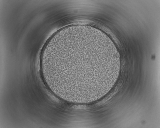 X0000116611083201001221314