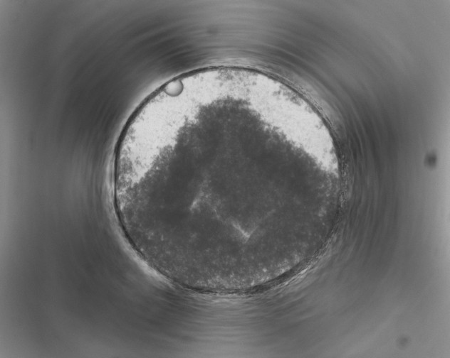 X0000116611084201001221314