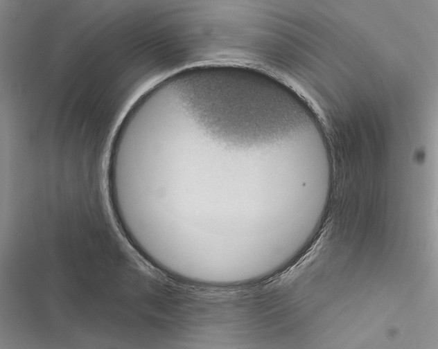 X0000116611085201001221314