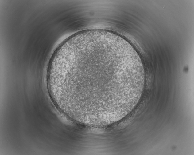 X0000116611086201001221314