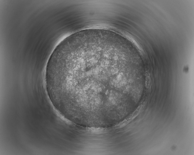 X0000116611087201001221314