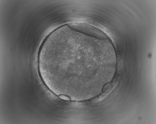 X0000116611088201001221314