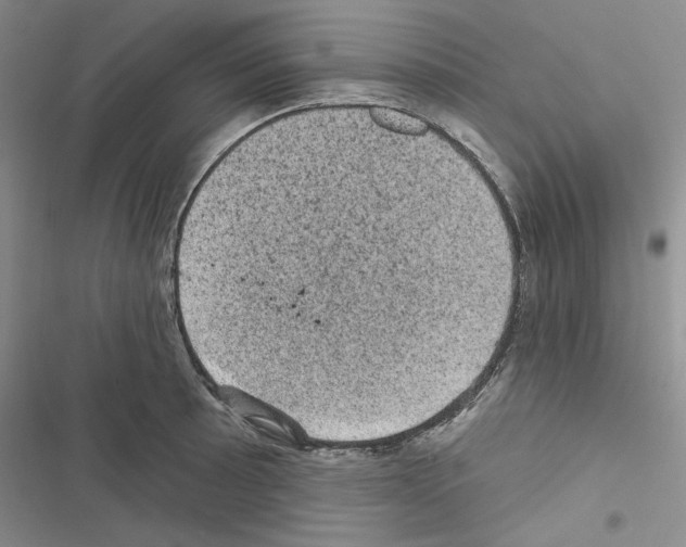 X0000116611089201001221314