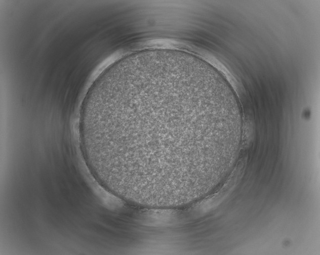 X0000116611090201001221314