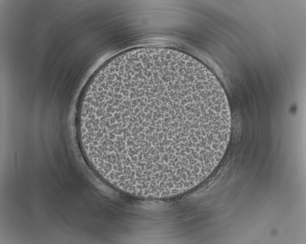 X0000116611091201001221314