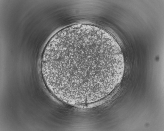 X0000116611092201001221314