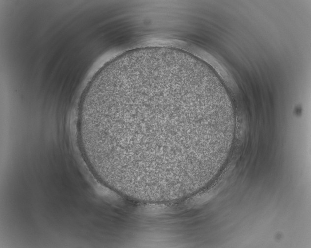 X0000116611094201001221314