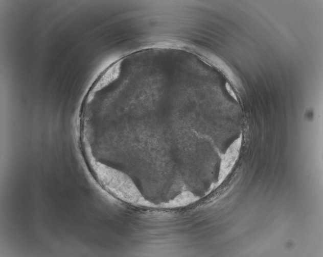 X0000116611095201001221314