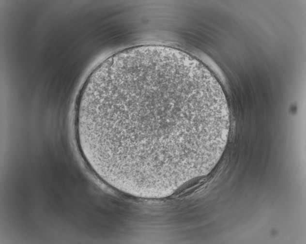 X0000116611096201001221314