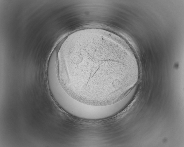 X0000116611097201001221314