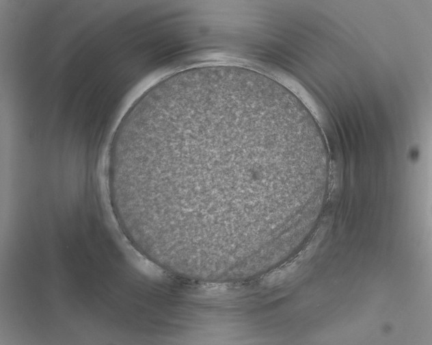 X0000116611098201001221314