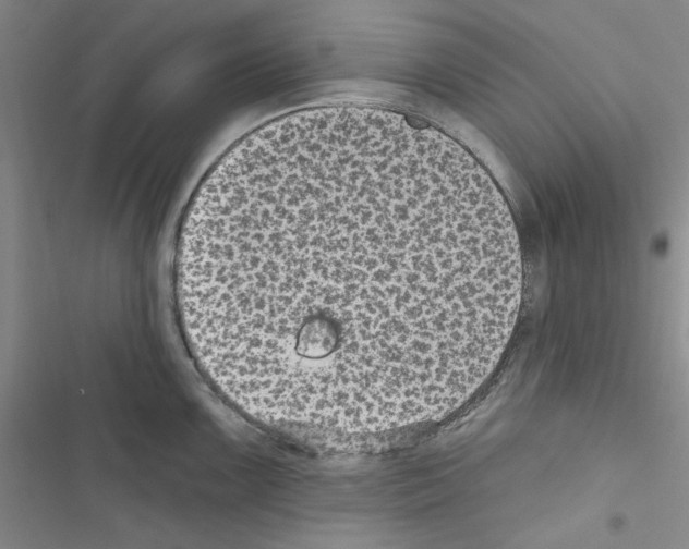 X0000116611099201001221314