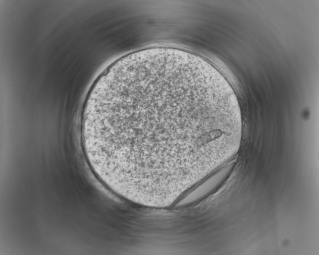 X0000116611100201001221314