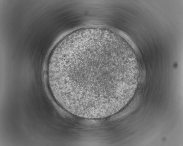 X0000116611101201001221313