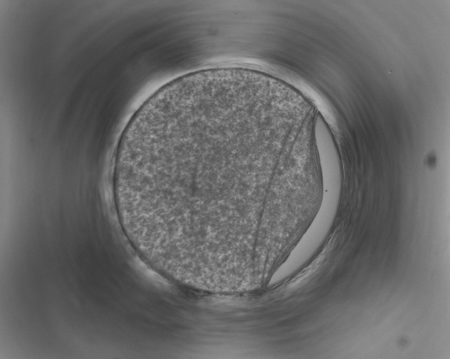 X0000116611102201001221313