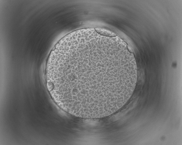 X0000116611103201001221313