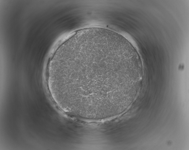 X0000116611104201001221313