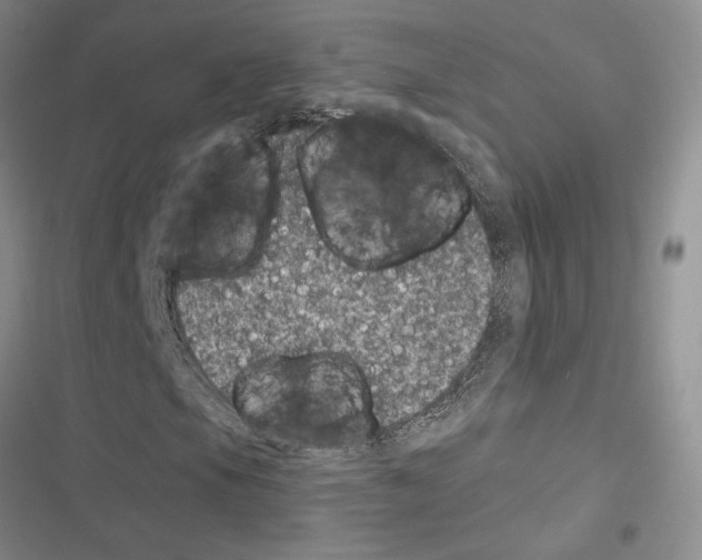 X0000116611105201001221313