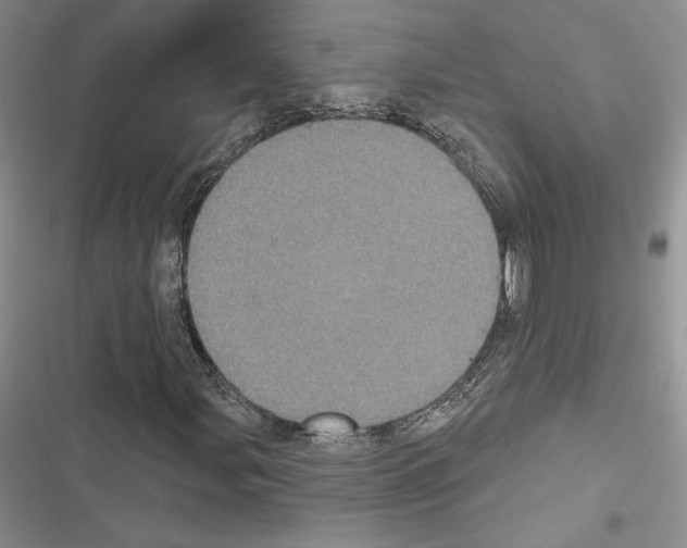 X0000116611107201001221313