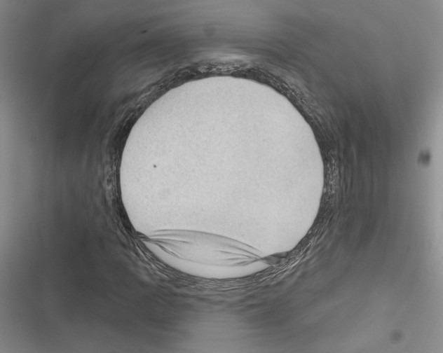 X0000116611109201001221313