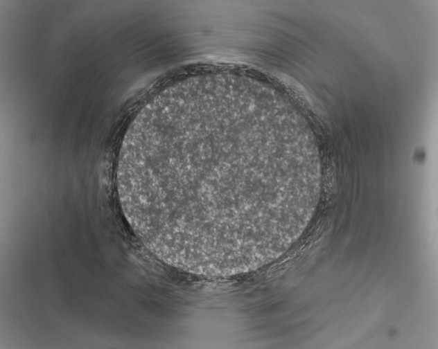 X0000116611110201001221313