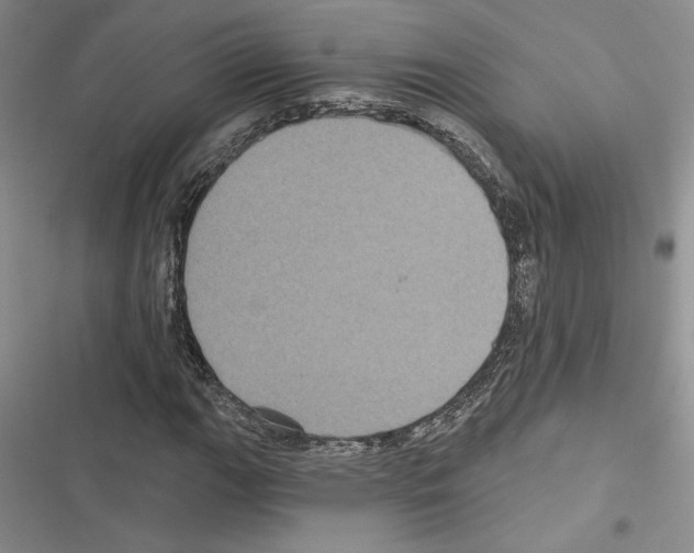 X0000116611111201001221313