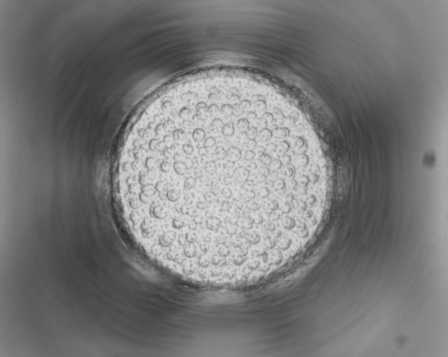 X0000116611113201001221313