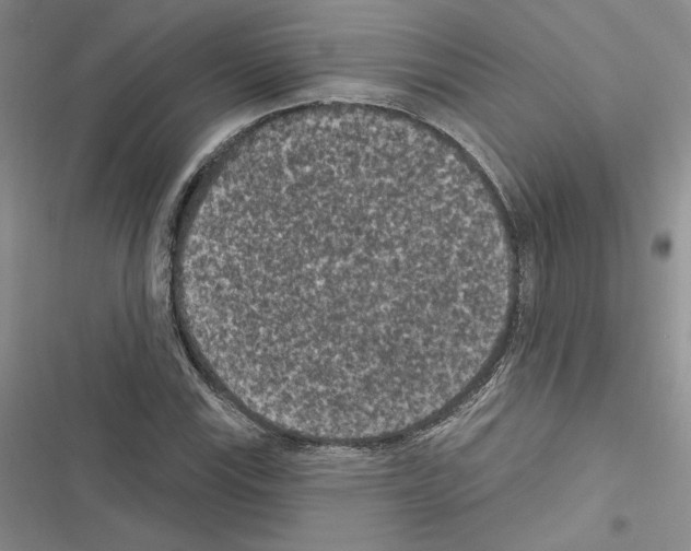 X0000116611115201001221313