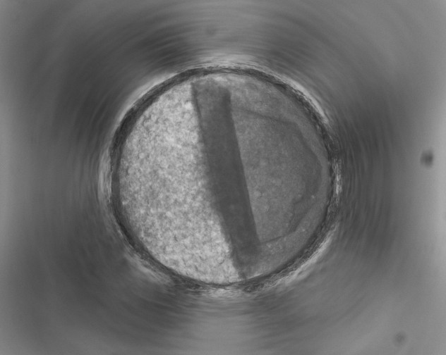 X0000116611117201001221313