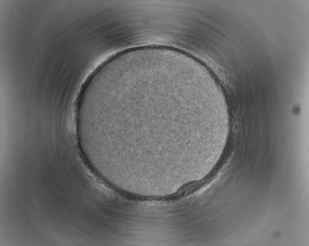 X0000116611118201001221313