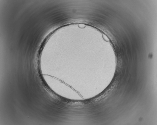 X0000116611119201001221313