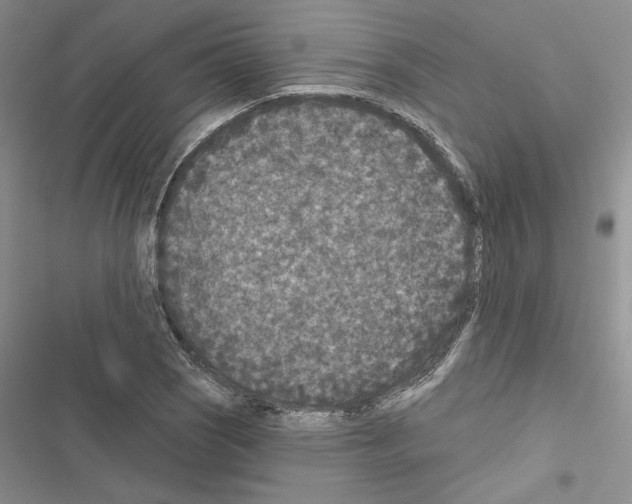 X0000116611121201001221313