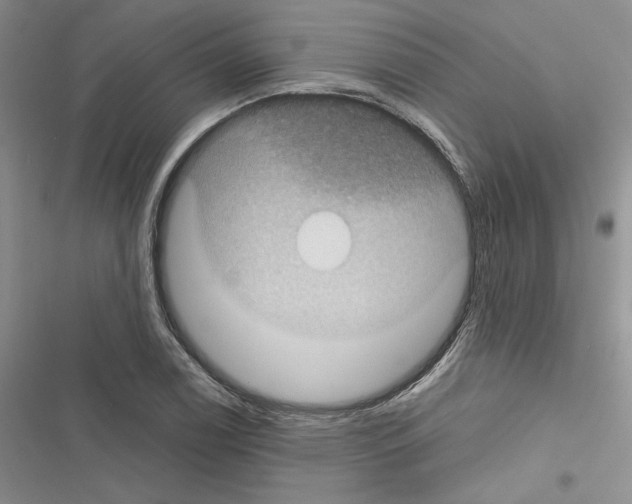 X0000116611122201001221313