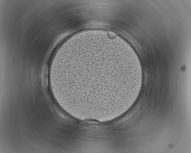 X0000116611123201001221313