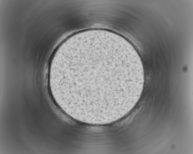 X0000116611126201001221313