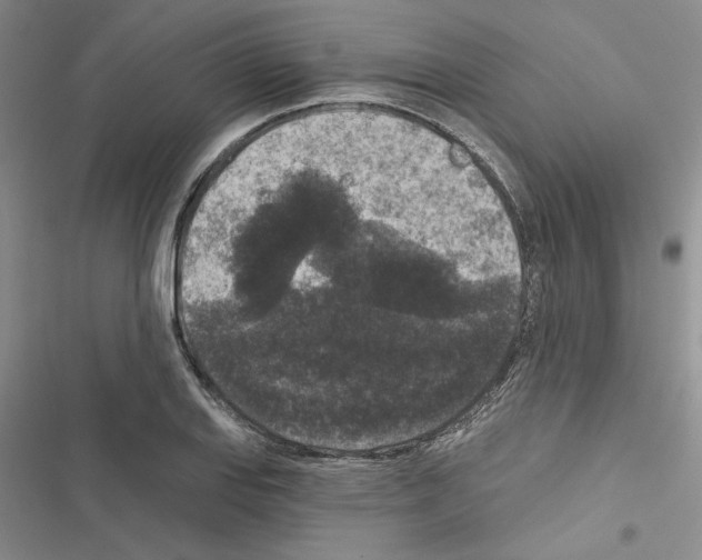 X0000116611127201001221313