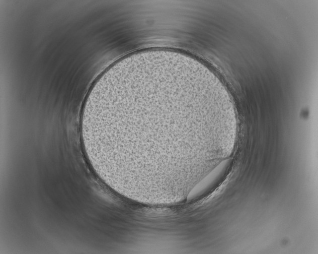 X0000116611129201001221313