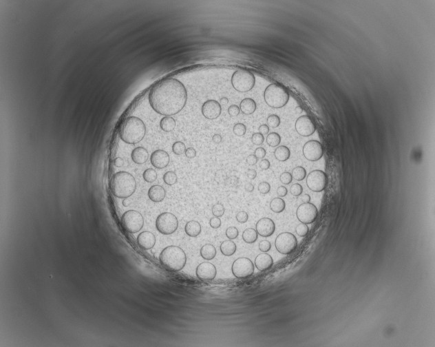 X0000116611130201001221313