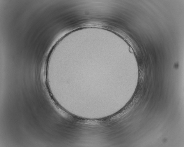 X0000116611131201001221313