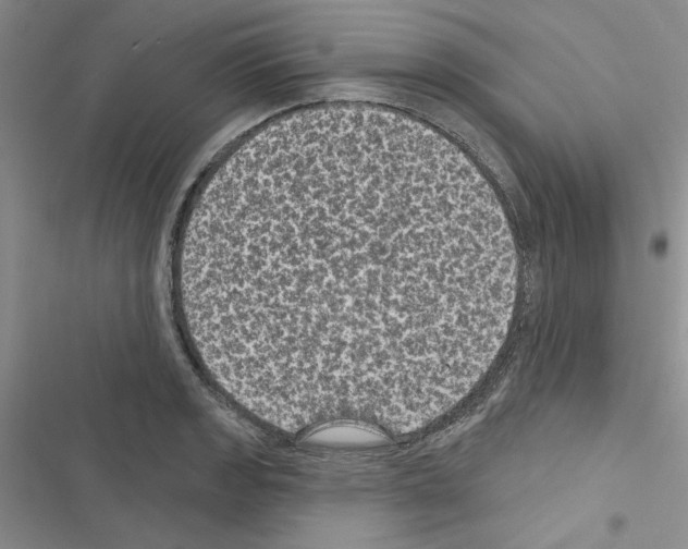 X0000116611133201001221313