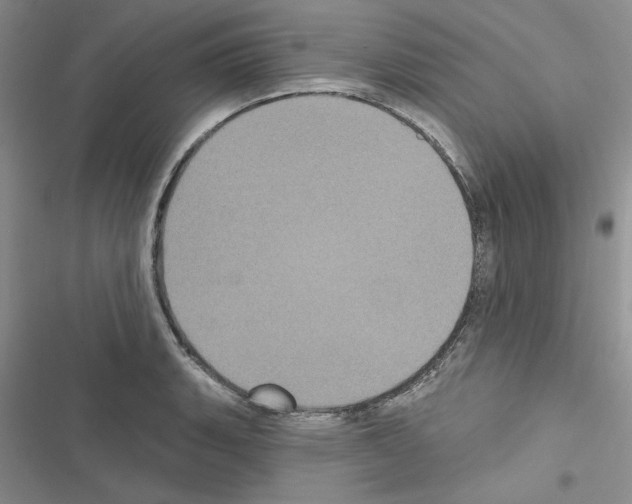 X0000116611135201001221313