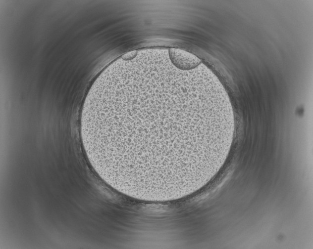 X0000116611137201001221313