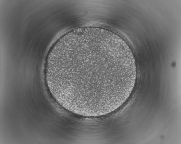 X0000116611138201001221313